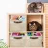 image:imageSimple Houseware 13 x 13 Large Fabric Storage Cubes 3 Pack BlueBeige