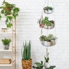 image:imageSimple Houseware Adjustable Metal Hanging Fruit Basket Oblate Black 11 W x 11 L x 30 HGold